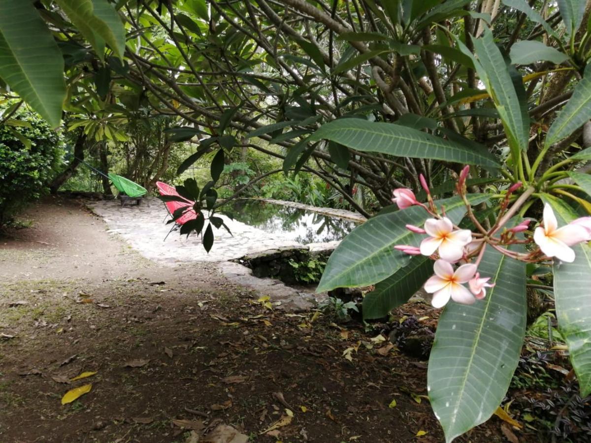 Curubande Casa Rural Aroma De Campo מראה חיצוני תמונה