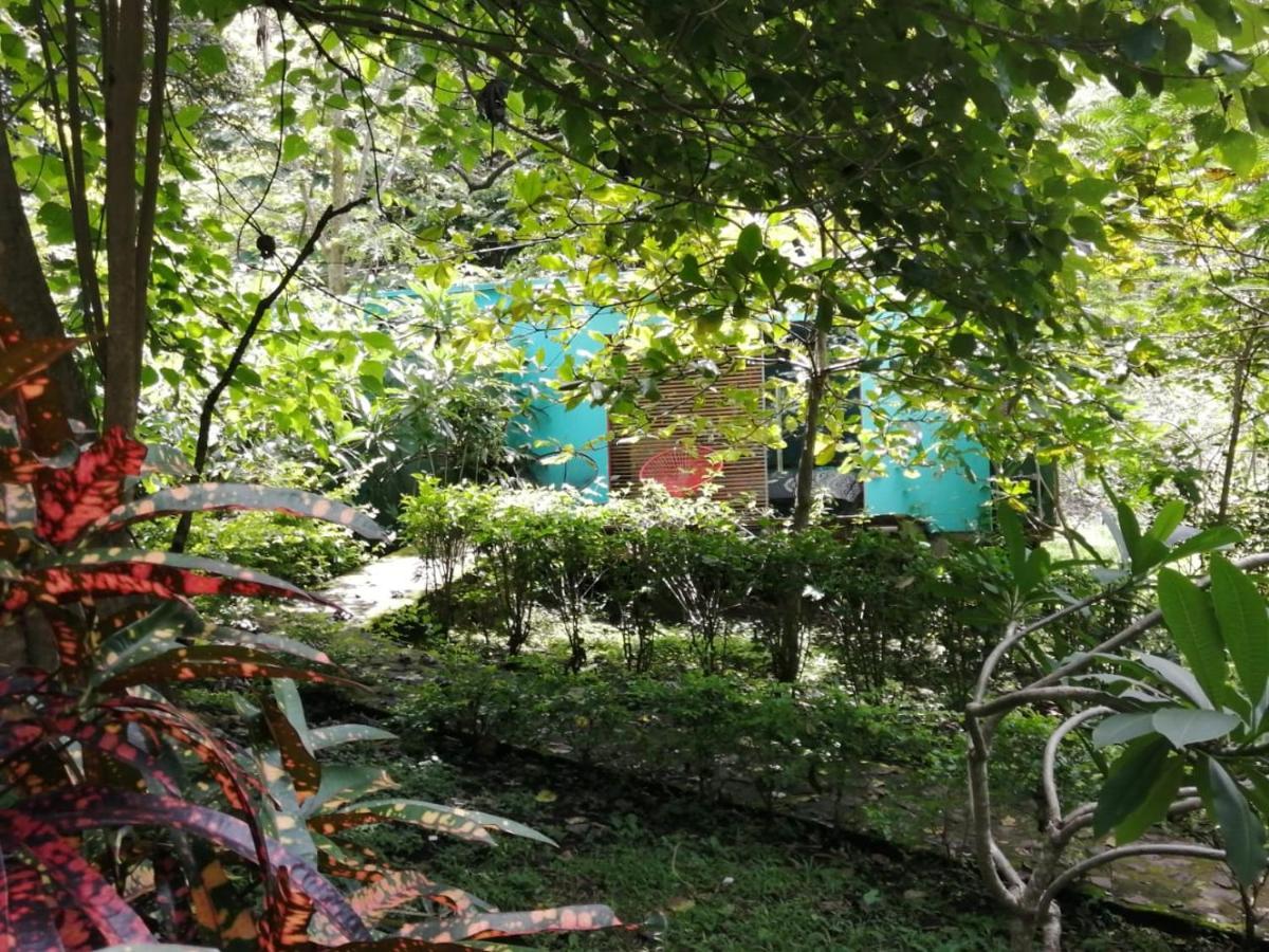 Curubande Casa Rural Aroma De Campo מראה חיצוני תמונה
