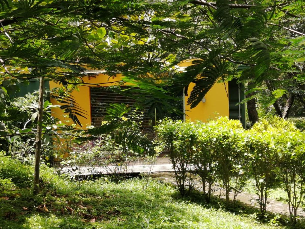 Curubande Casa Rural Aroma De Campo מראה חיצוני תמונה